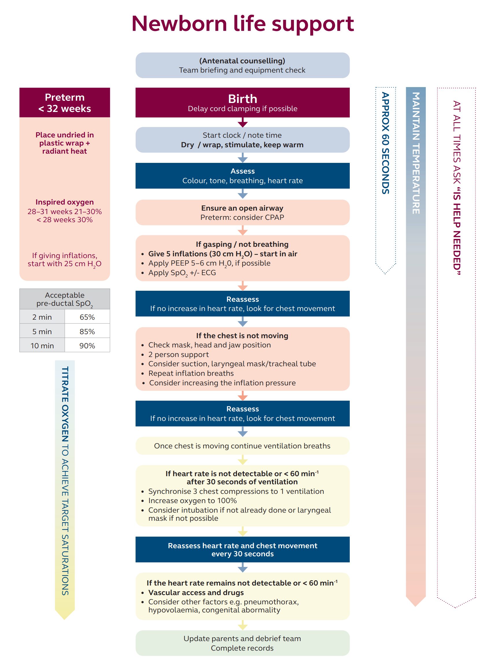 Neonatal Resuscitation